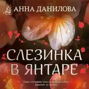 Постер книги Слезинка в янтаре