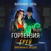 Постер книги Гортензия Грей:призраки и злодеи. Книга 2