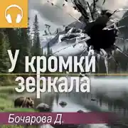 Постер книги У кромки зеркала