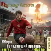Постер книги Настя