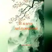 Постер книги В плену заблуждений