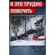 Постер книги Оранжевое свечение у дороги