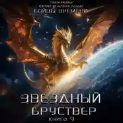 Постер книги Звездный бруствер. Книга 9. Бойцы времени