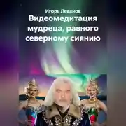 Постер книги Видеомедитация мудреца, равного северному сиянию