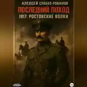 Постер книги Последний поход 1917: Ростовские волки