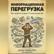 Постер книги Информационная перегрузка