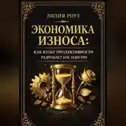 Постер книги Экономика износа: Как культ продуктивности разрушает нас изнутри