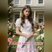 Постер книги Коллекция лжи