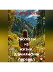 Виталий Косых - Рассказы из жизни. Шаумянский перевал