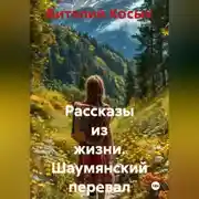 Постер книги Рассказы из жизни. Шаумянский перевал