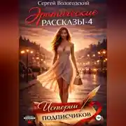 Постер книги Эротические рассказы-4. Истории подписчиков