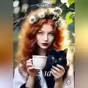 Постер книги Эла