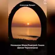 Постер книги Саша-Фрадис-Ненашева-Мира