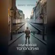 Постер книги Нулевая топология