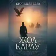 Постер книги Жол карау