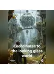 Роман Швецов - Coordinates to the looking glass world