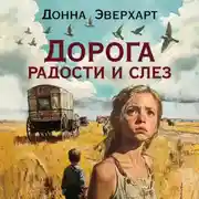 Постер книги Дорога радости и слез