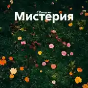 Постер книги Мистерия