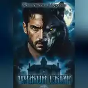 Постер книги Чужой свет