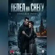 Постер книги ПЕПЕЛ на СНЕГУ