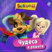 Постер книги Барбоскины. Чудеса в решете