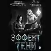 Постер книги Эффект тени