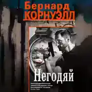 Постер книги Негодяй