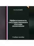 Сергей Каледин - Эффективность государственного сектора экономики