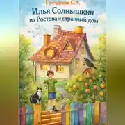 Постер книги Илья Солнышкин из Ростова и странный дом
