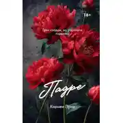 Постер книги Падре