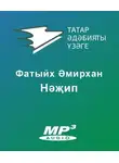 Әмирхан Фатих - Нәжип