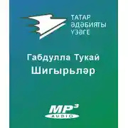 Постер книги Шигырьләр