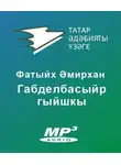 Әмирхан Фатих - Габделбасыйр гыйшкы