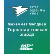 Постер книги Торналар төшкән җирдә
