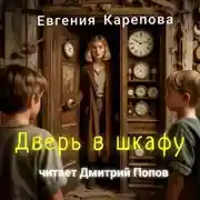 Постер книги Дверь в шкафу