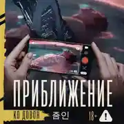 Постер книги Приближение