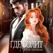 Постер книги Где болит, там любит