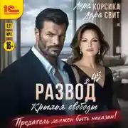 Постер книги Развод в 45. Крылья свободы