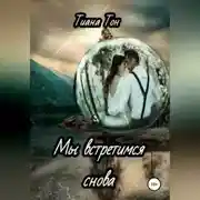 Постер книги Мы встретимся снова