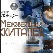 Постер книги Межзвездный скиталец