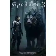 Постер книги Бродяга. Книга 3