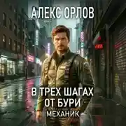 Постер книги В трех шагах от бури. Механик