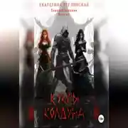 Постер книги Куклы колдуна