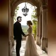 Постер книги Любовь между страниц