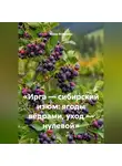 Война Владимир - «Ирга — сибирский изюм: ягоды вёдрами, уход — нулевой»