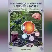 Постер книги Вся правда о чернике: зрение и мозг
