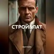 Постер книги СТРОЙБЛАТ
