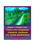 Игорь Шиповских - Сказка о хитром коте Плуте и его нескромном поведение повлёкшем его полное разоблачение.