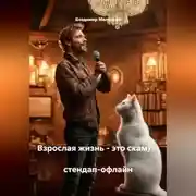 Постер книги Взрослая жизнь - это скам)                                                стендап-офлайн