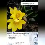 Постер книги Сказки тамбовской глубинки. Том первый